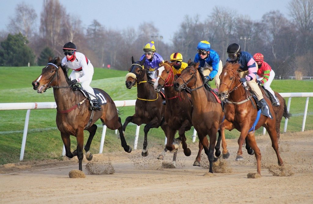 Practical tips for winning at horse races