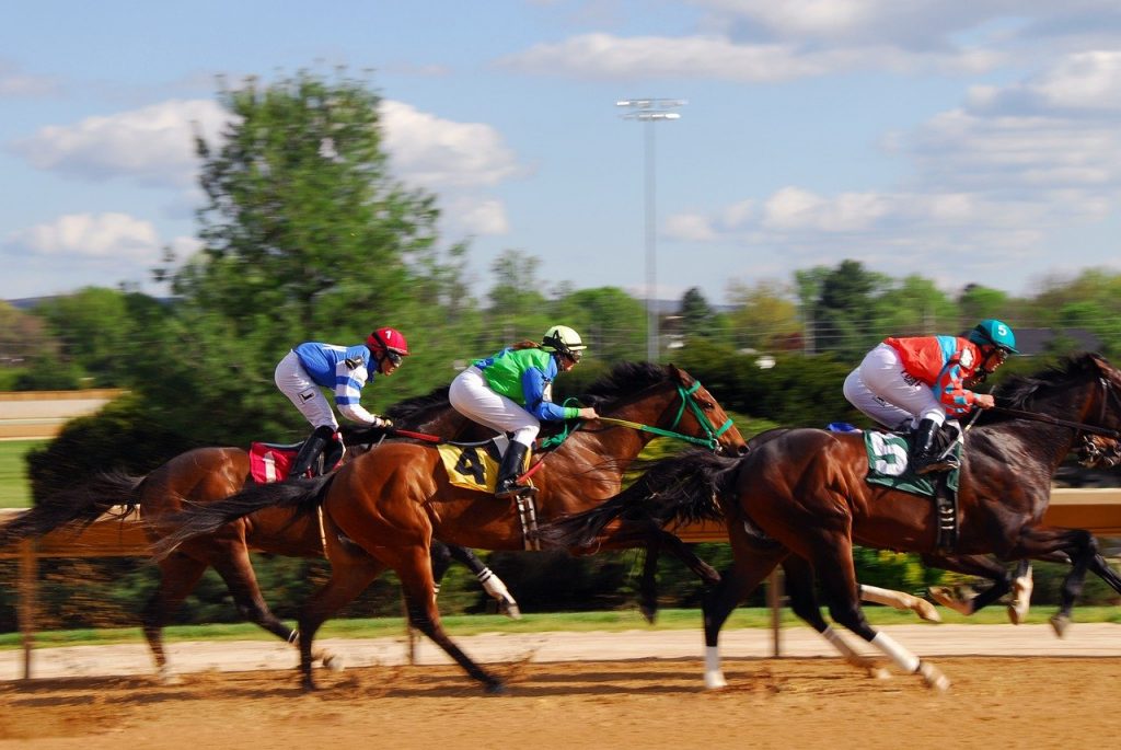 What are the different types of races for sports betting ?