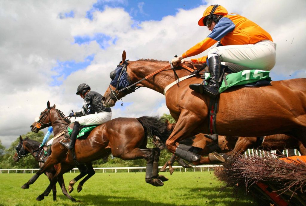 All you need to know about the online horse betting odds system